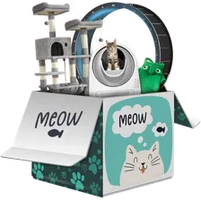 Meow