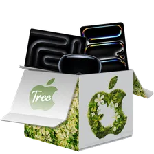Apple Tree